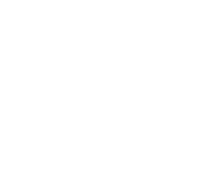 nuziveedu